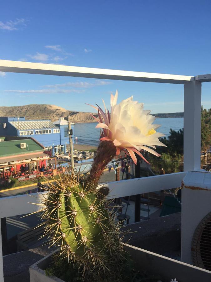 Hosteria Puerto Palos Puerto Pirámides المظهر الخارجي الصورة